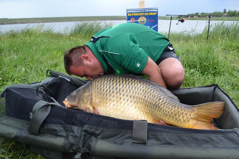  Capturi Sarulesti  - crapmaresarulesti2.jpg